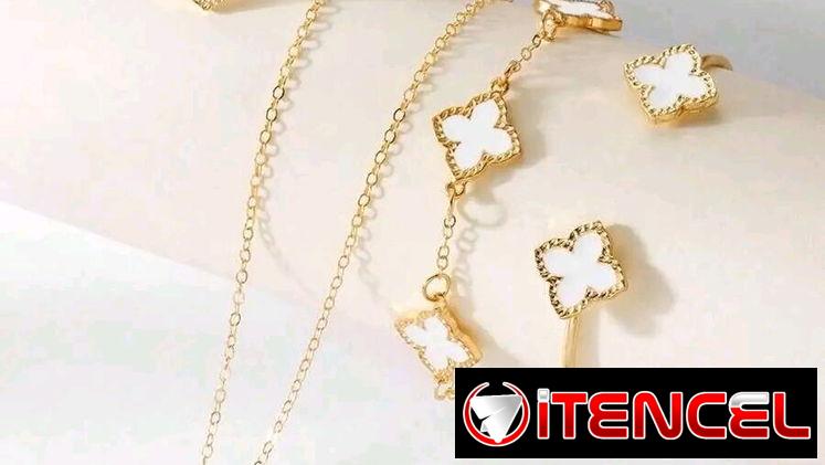 Conjunto de cadena, manilla, esclava, anillo y aretes