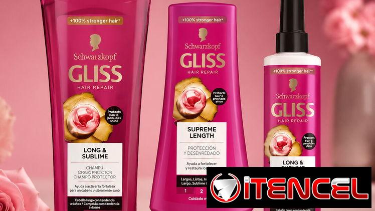 SET PARA CABELLO LARGO, GLISS SCHWARZKOPF
