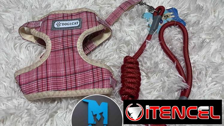 Pechera con correa talla S para mascotas