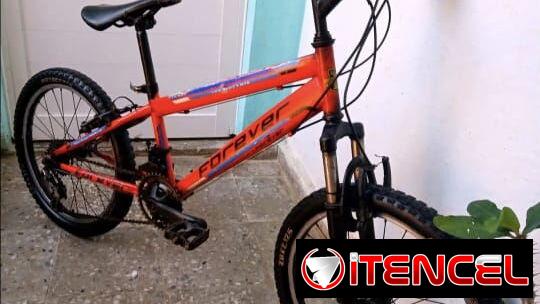Se vende bici 20 montañesa
