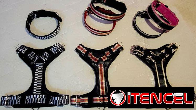 Perchera para perros tipo Y