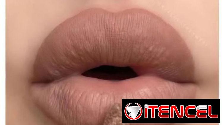Labial Matte de Farmasi 13-Cool Girl