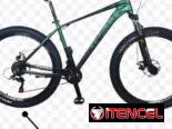 Bicicleta Rali