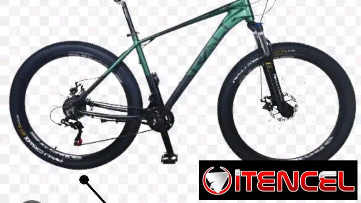 Bicicleta Rali