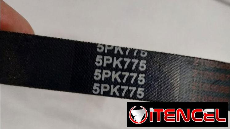 Correa del Alternador de Peugeot 106 Citroen Saxo TUD5 5Pk 778