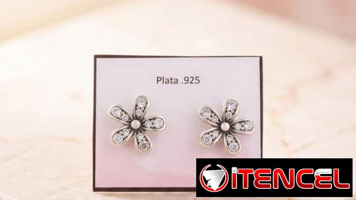 Aretes Pandora de plata s’925