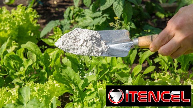COMPRO PRODUCTO DE FUMIGACION PARA PLAGAS