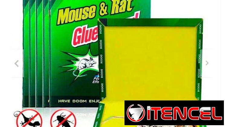 Trampa para raton guayabito