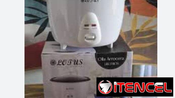 Variedades de electrodosmeticos