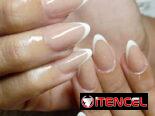 Agencia de Servicios de Belleza a Domicilio