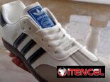 Tenis zamba