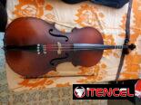 Violonchelo (150)