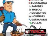 Fumigador Onil
