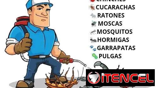 Fumigador Onil