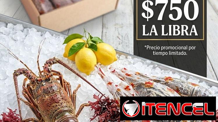 Harina, queso, spam, pollo y langosta. ¿Demasiado? Para nosotros, es el comienzo.