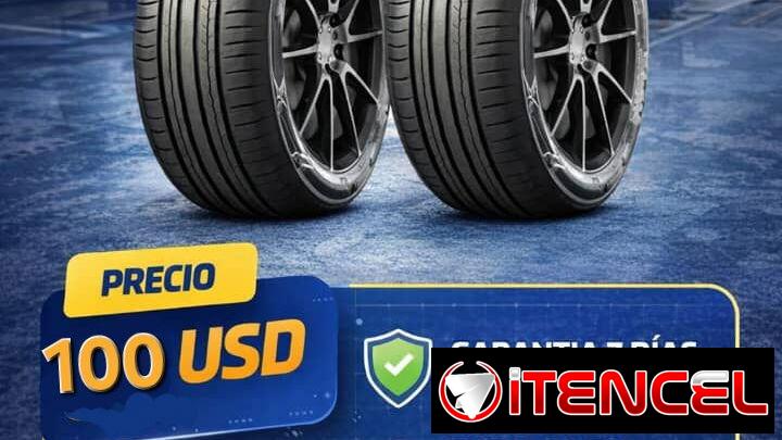 PAREJA DE NEUMÁTICOS :195/70R14 91T DH 02 DS