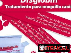 c41022a3adffa004767285d93431f4a95eda5f7ae253b9fee98004181385cb12