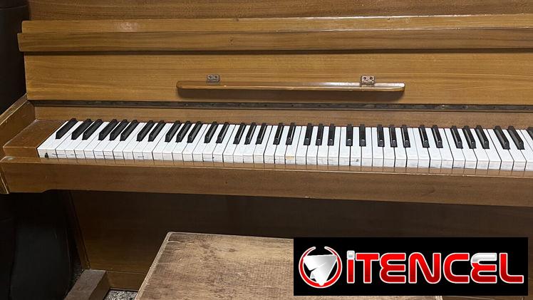 Piano de estudio