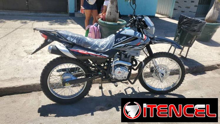 Moto Ava tigrito