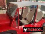Renta de carros electricos