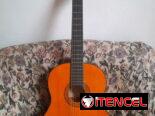 Guitarra
