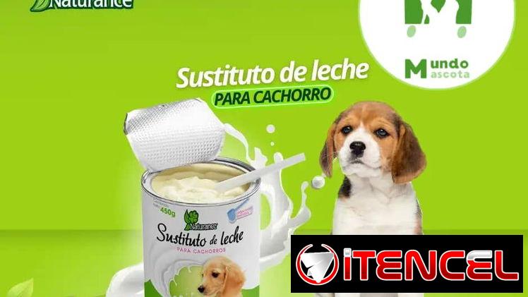 🐶El sustituto de leche para cachorro