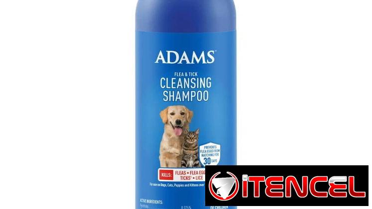 Shampoo para perros y gatos