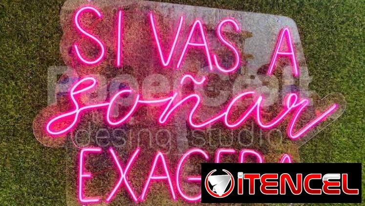 CARTELES DE NEÓN FLEX
