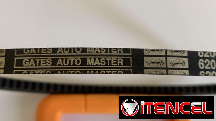 Correa Gates Auto Master 6204 MC. Nueva