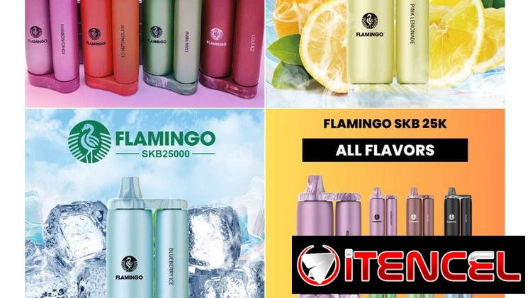 Cigarros electronico vaper