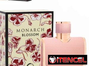 c740feea9332903e0c81a035e4172a8a378f9fb1a0985ef8a4aed836800407d7