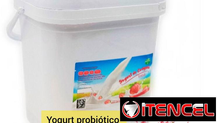 Yogurt Probiotico,4lts Coágulo de leche de vaca, cremoso .