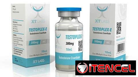 Testosterona