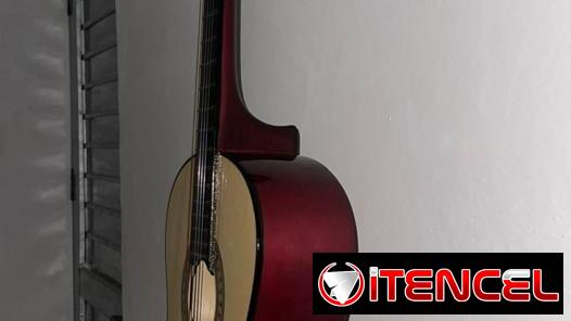 Guitarra con soporte de madera