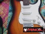 guitarra eléctrica academy