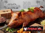 Comida Criolla .Cerdo asado con arroz moro,yuca con mojo y ensalada de temporada.Para cualquier fecha especial .