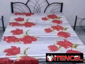 c9208b69e6701d8192f063ef577f197de8222cd58a410708837f71a1d001e176