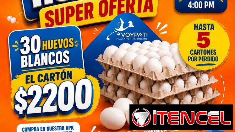 Huevos, cartón de huevo