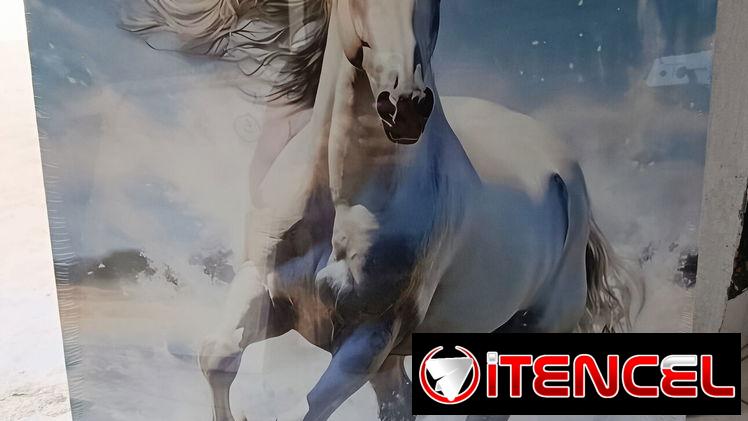 Cuadro pintura en aerosol 5900cup Medidas 50*60cm