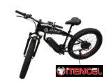 Bicicleta eléctrica