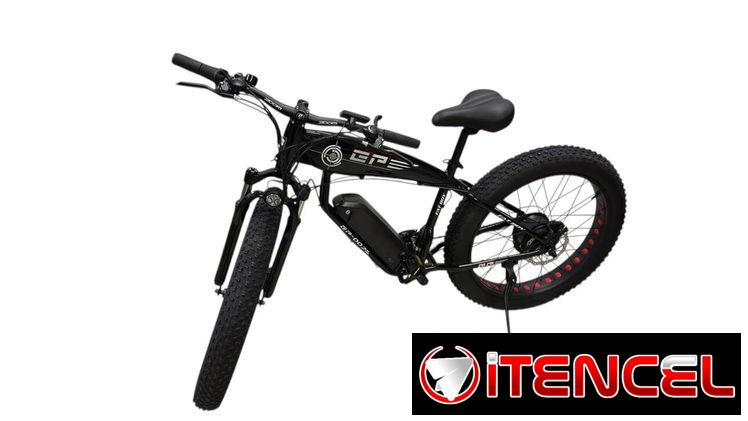 Bicicleta eléctrica
