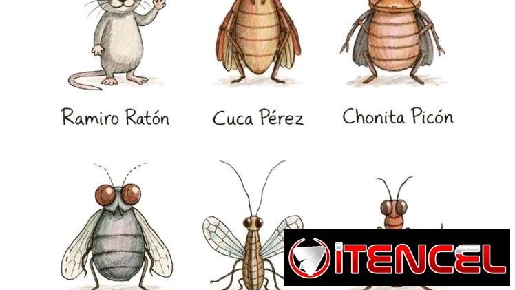 Fumigacion onil