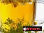 🌼🌿Té de Manzanilla