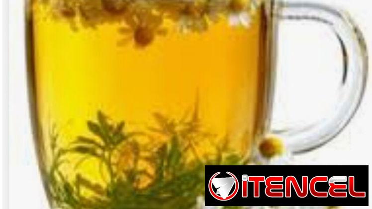 🌼🌿Té de Manzanilla