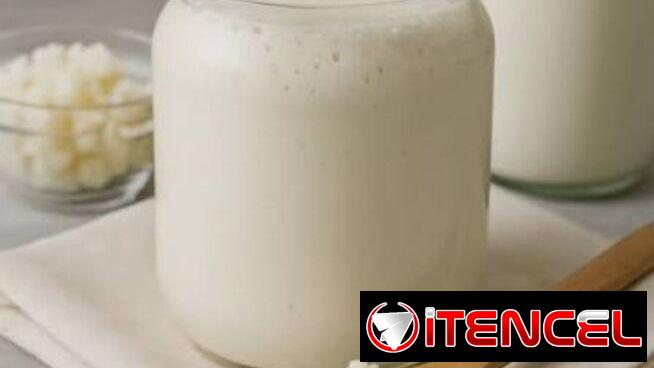 Kefir/ Leche de Chiva/ Yogurt griego