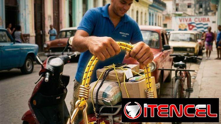 Correas tensoras elásticas con gancho