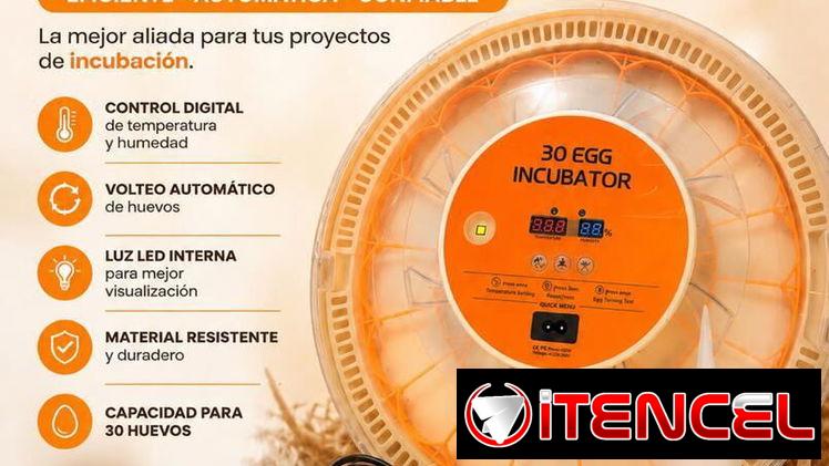 Incubadora de 30 huevos