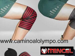 cb6a266c6a31793da153d63fda8f3d9124348cb445d1013230316b4199245c30