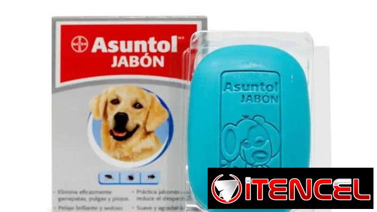 Jabones antipulgas para perros