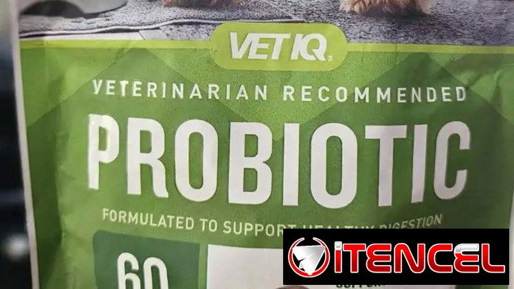 Probiótico para perros